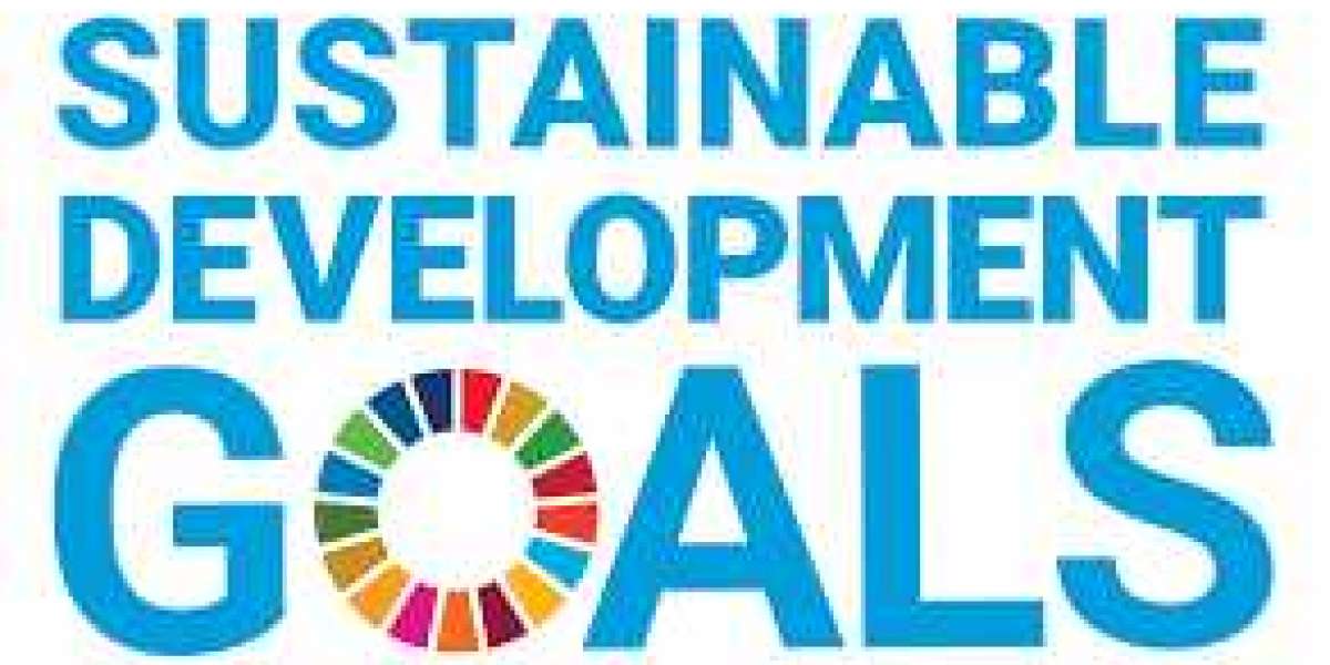 Embracing Sustainable Development Goals (SDGs) for Global Impact