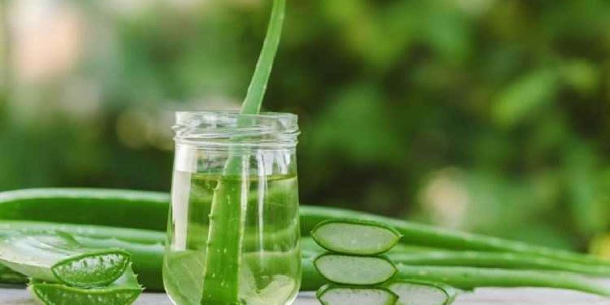 Aloe Vera Extract Market Dynamics: Opportunities and Challenges