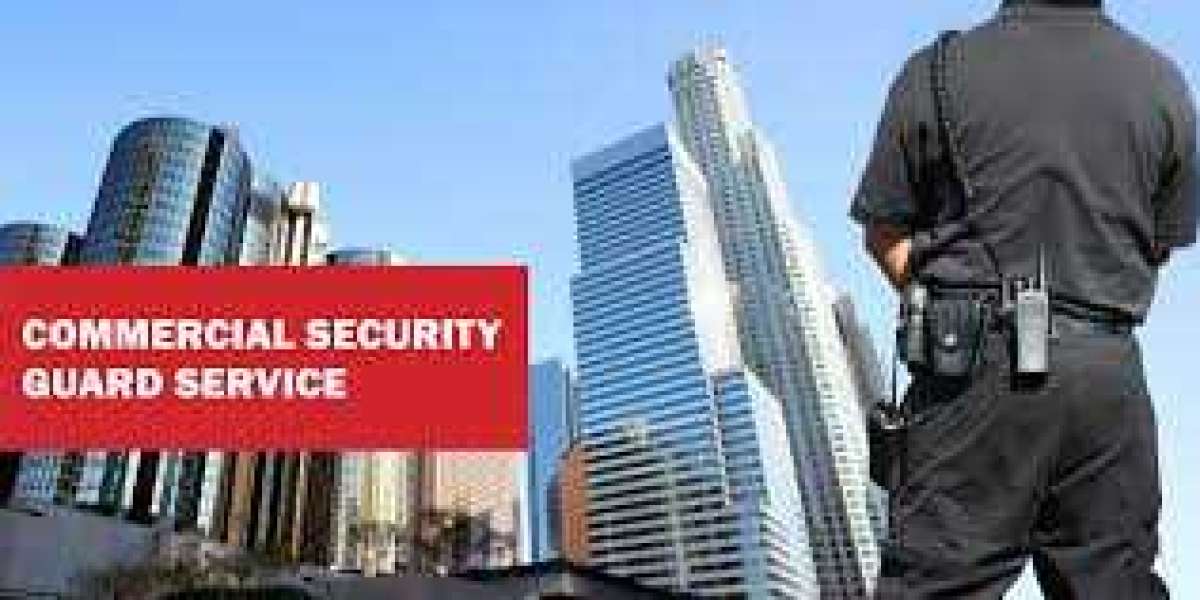 Commercial Security Market : Advancement, Target Audience, Growth Prospects Predicted by 2030