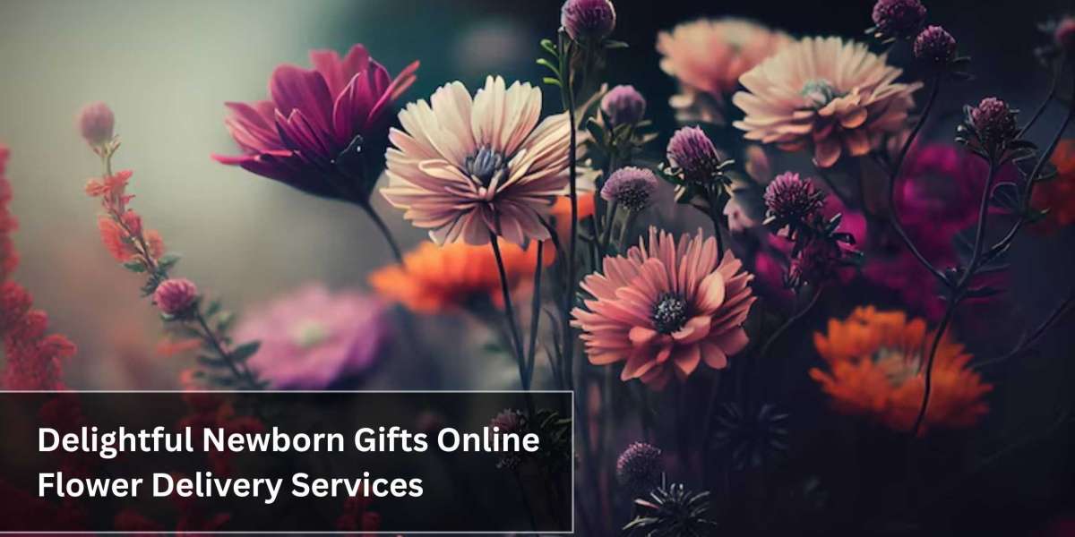 Delightful Newborn Gifts Online Flower Delivery Services